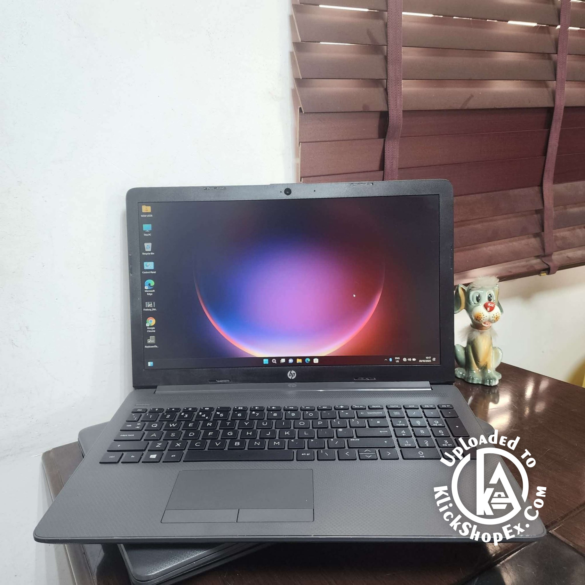 HP 255 G7 Notebook PC - Products Photo